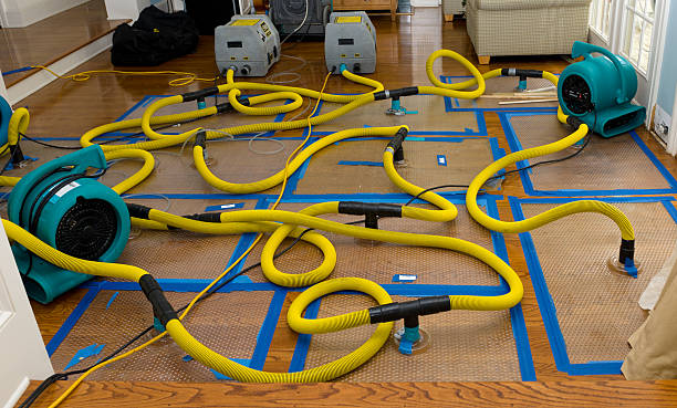 Professional Sewage Cleanup technician working in Trenton, IL